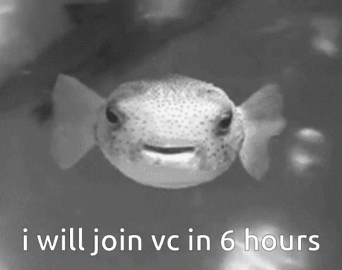 Vc Fish GIF - Vc Fish Hours GIFs