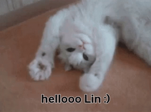 Lin Hello Lin GIF - Lin Hello Lin Hellooo Lin GIFs