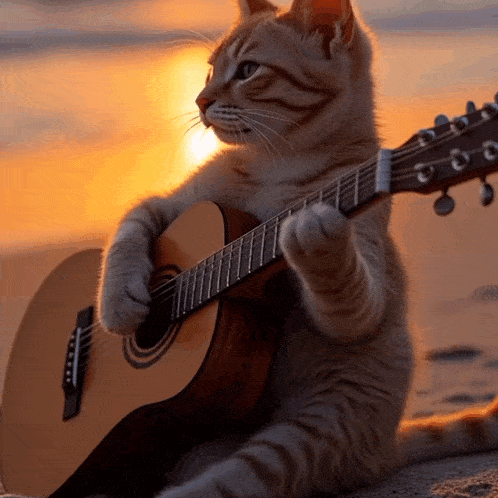 a cat is playing a guitar on a beach