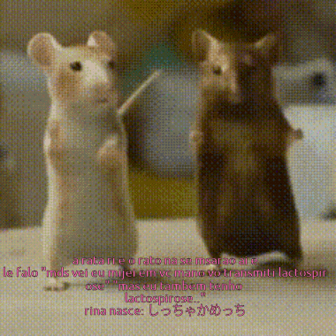 two mice are standing next to each other with the words " rina nasce " written below them
