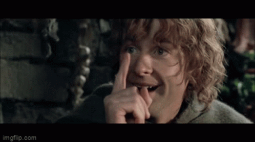 Pippin Lotr GIF - Pippin Lotr Two Towers GIFs