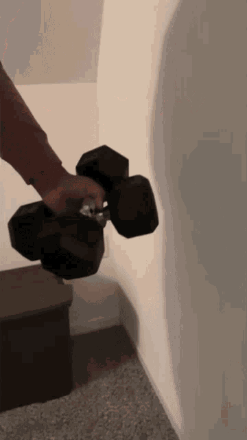 Trarags Dunseldorf GIF - Trarags Dunseldorf Straight From Dunseldorf GIFs