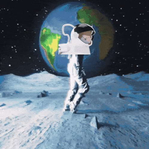 Space Moon GIF - Space Moon Alpaca GIFs