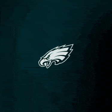 the eagles logo is shown on a green and white background