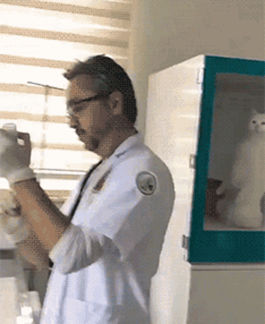 Cat Doctor GIF - Cat Doctor Veterinary GIFs