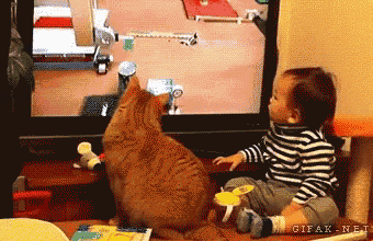 a child is playing with a cat in front of a tv screen that says gifak net