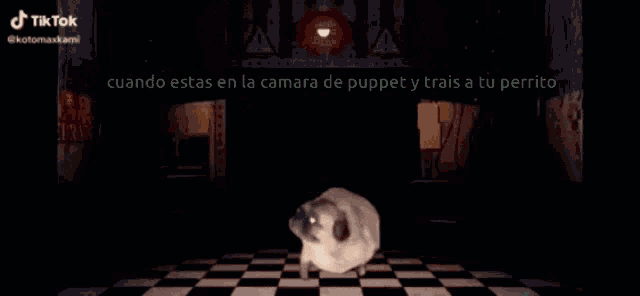 Pug Bonito GIF