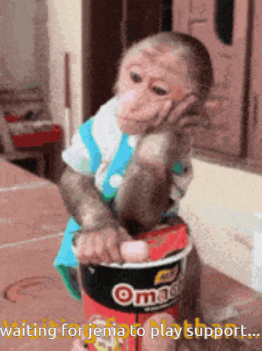 a monkey sitting on top of a bucket that says omah