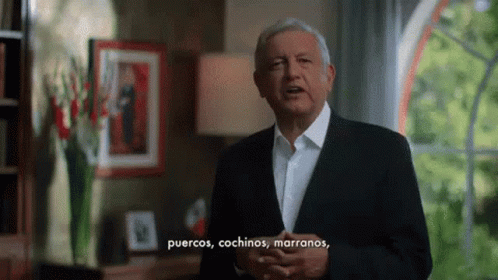 Presidente De Mexico Puercos GIF