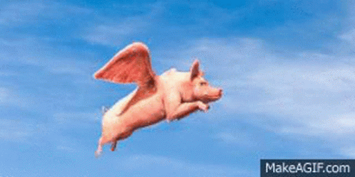 Pig Fly GIF - Pig Fly When Pigs Fly GIFs