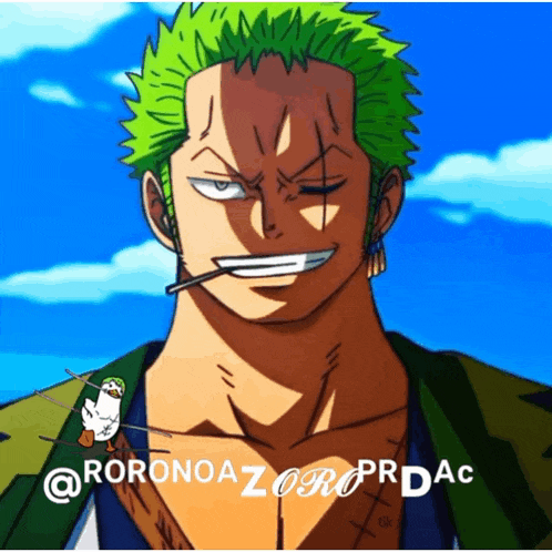 a picture of roronoa zoro from one piece with a penguin holding a sword in his hand