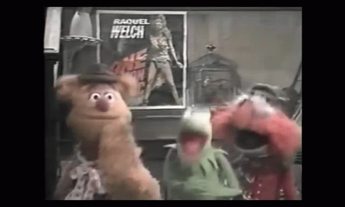The Muppets Kermit GIF - The Muppets Kermit Muppet GIFs