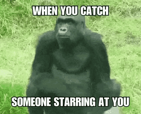 Gorilla When You Catch Someone Starring At You GIF - Gorilla When You Catch Someone Starring At You Sticking Out Tongue GIFs