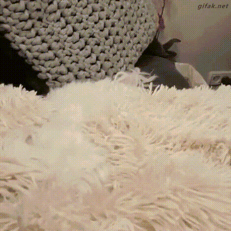 a cat is laying on a white blanket with a knitted blanket in the background .