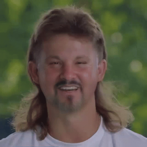 Mulletracer GIF - Mulletracer GIFs