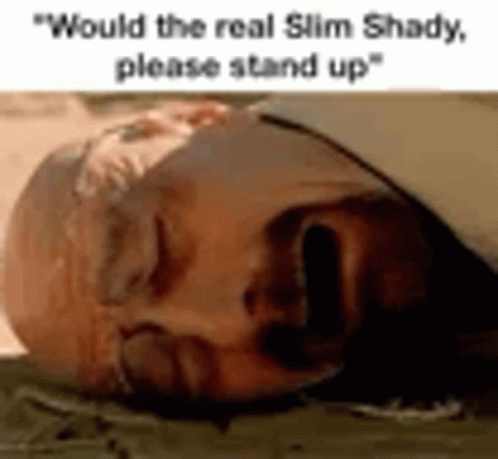 Slim Shady GIF - Slim Shady GIFs