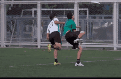 Pasito Perron GIF