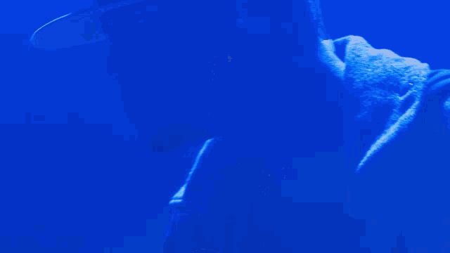 a silhouette of a person with their hands in the air