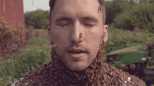 Eyes Closed Bees GIF - Eyes Closed Bees Crowd GIFs