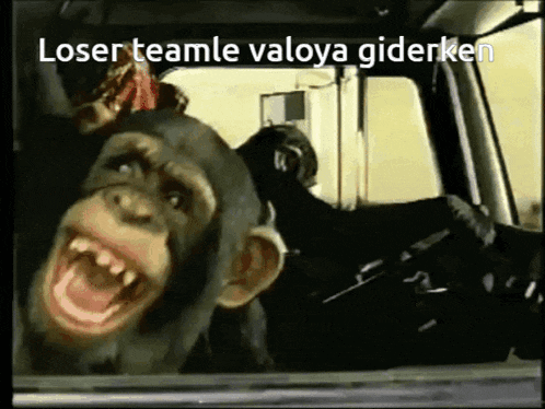 a chimpanzee is smiling in a car with the words loser teamle valoya giderken