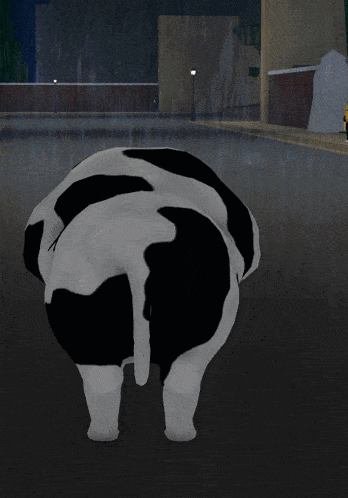a black and white cow is laying down on the street