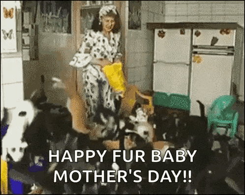 a woman is feeding a bunch of dogs in a kitchen and the caption reads happy fur baby mother 's day !