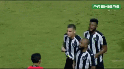 Botafogo Chay GIF - Botafogo Chay Rafael Navarro GIFs