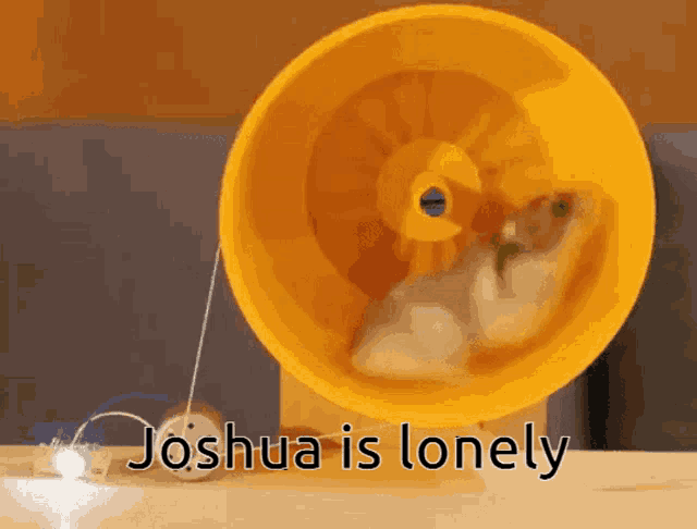 Joshua Is Llonely GIF - Joshua Is Llonely GIFs