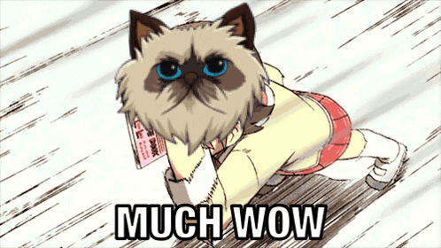 a cartoon drawing of a girl with a cat head and the words much wow
