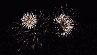 a fireworks display with green and red fireworks in the night sky
