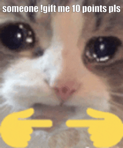 a close up of a cat with the words " someone gift me 10 points pls " on the bottom