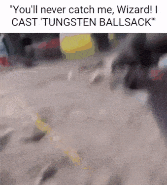 a blurred image with the words " you 'll never catch me wizard ! i cast tungsten ballsack "