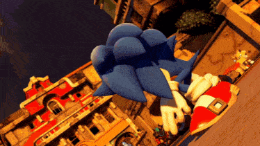 sonic the hedgehog in a video game with a red white and blue belt