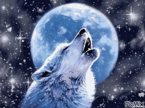a wolf is howling at the moon in the night sky