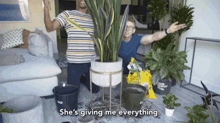 a man says she 's giving me everything while kneeling next to a potted plant