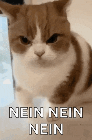an angry cat with the words nein nein nein written on it