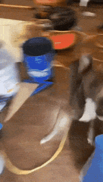 a blurry picture of a cat playing with a blue container that says ' snickers ' on it