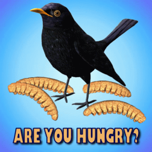 Are You Hungry Im Hungry GIF - Are You Hungry Im Hungry Im Starving GIFs