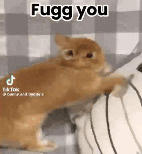 a rabbit is sitting on a pillow with the words fugg you written on it .