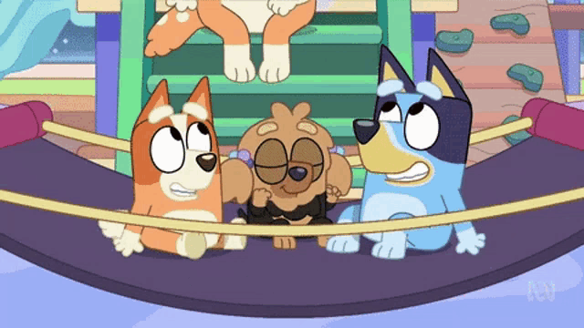 three cartoon dogs are standing next to each other in a ring with the letters abc visible