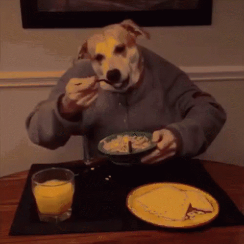 Anjing Rakus Makan GIF