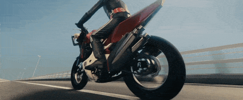 a person is riding a motorcycle on a bridge with a red tail