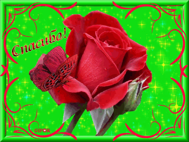 a red rose with a butterfly on a green background that says " спасибо "