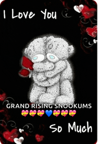 two teddy bears hugging each other with the words " i love you grand rising snookums so much "