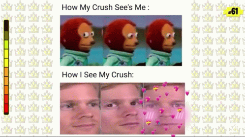 Memes How My Crush Sees Me GIF - Memes How My Crush Sees Me How I See My Crush GIFs