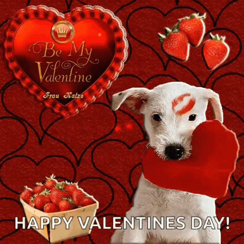 Be My Valentine Valentines Day Dog GIF