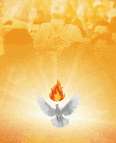 shalom selamat datang dan selamat beribadah ntc solid ministry with a white dove