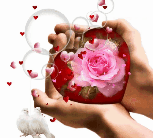 a woman is holding a heart with a pink rose in her hands