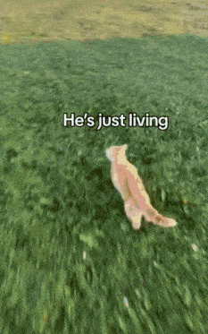 a cat laying in the grass with the words he 's just living below it