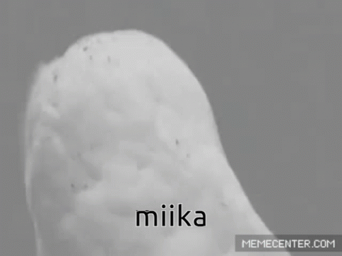 Miika Panda Runkku GIF - Miika Panda Runkku GIFs